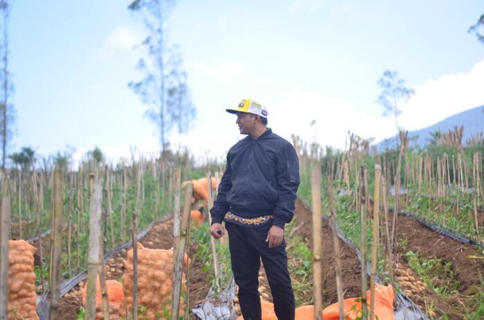 Kepala Desa Sukawargi, Asep Yahya sedang memantau petani yang tengah memanen hasil perkebunan