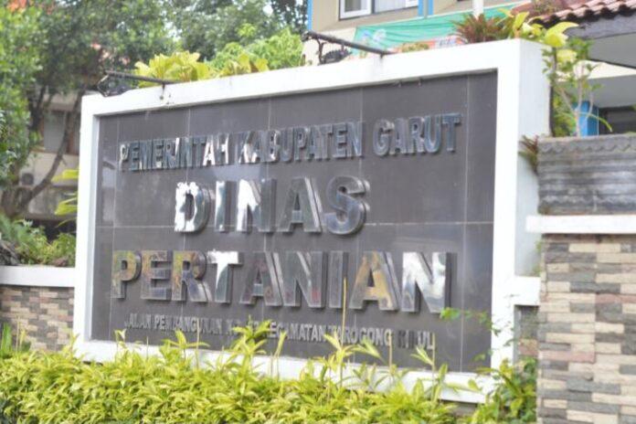 Upaya Dinas Pertanian Garut dalam Meningkatkan Produktivitas