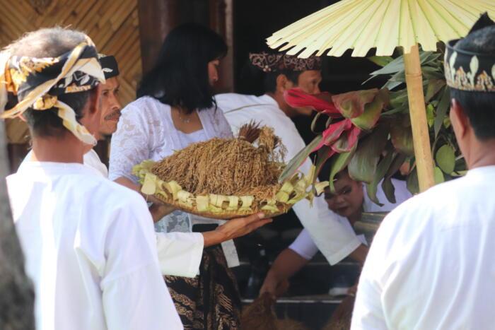 Tradisi Ngampih Pare: Warisan Leluhur di Kampung Adat Pasir